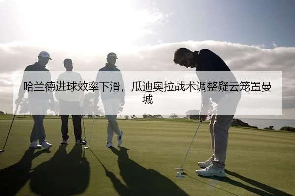 ha-lan-de-jin-qiu-xiao-lv-xia-hua-gua-di-ao-la-zhan-shu-tiao-zheng-yi-yun-long-zhao-man-cheng-2-298.jpg
